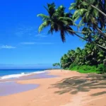 Agonda beach famous beaches in goa famous beaches in goa